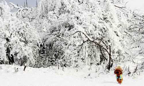 仙女山什么时候下雪 仙女山什么时候下雪 下雪天，自拍女神教你如何把自己拍成仙女！
