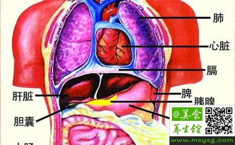 五脏六腑用热水敷好吗 喝水5“不要” 才能护好五脏六腑