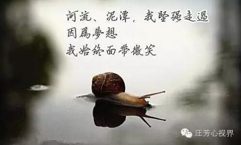 冠心病引发的腿肿 补钙过度：腿好了，冠心病来了？！