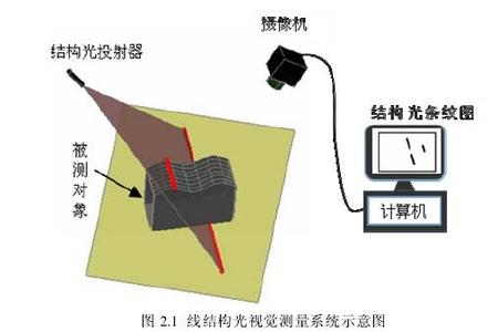 吊兰居然有这么多种 “测量物体的高度”有这么多种方法