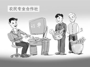 农民合作社发展现状 浅析当前农民合作社发展问题
