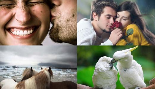 人们因一个理由相爱 相爱的人们一起看：28张浪漫到死的照片