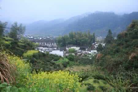 皖南婺源赏花 清明深处最佳赏花村落——婺源