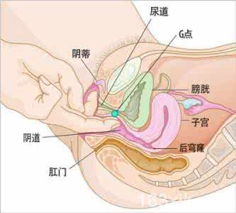 跳蛋获得前列腺高潮 女人阴蒂怎样获得高潮