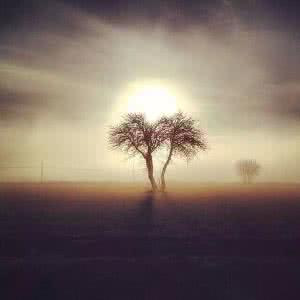 网友骂小编经典语录 2014年10月网友最喜欢的20篇经典语录