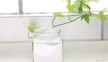 小苏打能去除农药吗 2分钟去除农药 小苏打妙用你一定要知道 | 除臭 | 清洁
