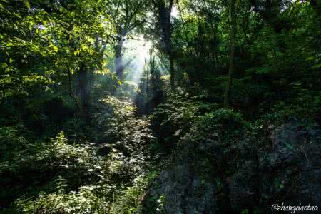 一女战三男4p真实经历 口述：密林深处“做战”真实经历