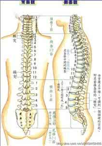 整骨到底是不是真的 简单直接的整骨止咳。