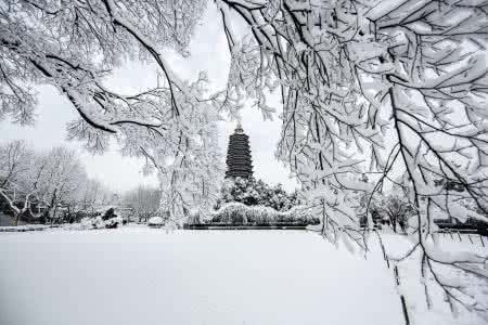 江南雪 【江南雪】清灵