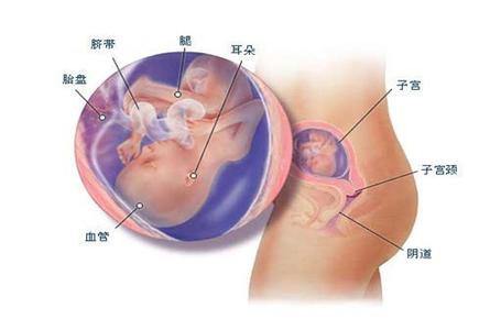 孩子骨骼发育 孩子骨骼发育有5大元素，一个都不能少