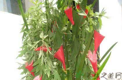 端午节为什么要插艾草 端午节为什么要挂艾草