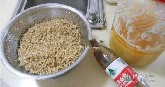 大草鱼的草药药酒配方 钓草鱼药酒配方