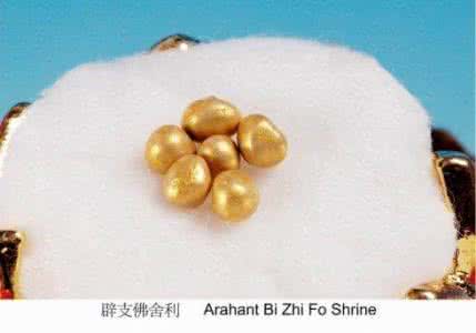 佛教舍利子 舍利子是怎么形成的 为什么只有佛教