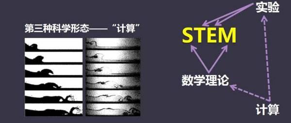 青少年英语能力大赛 项华教授:青少年STEM能力培养策略