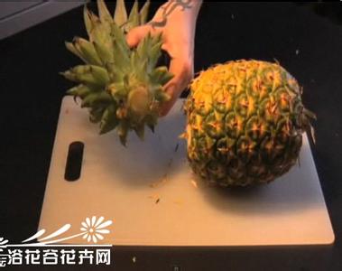 菠萝吃完剩下叶可养殖 菠萝吃完剩下叶可养殖 真相 | 吃完剩下的菠萝顶真的会长出菠萝吗?有吃货做实验了!结果…