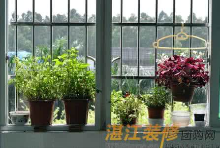 家庭养花风水知识 家庭种树养花的一点风水知识