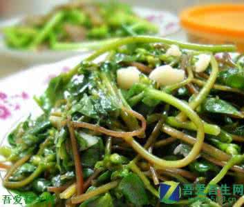 菜莽的做法 马齿苋菜 马齿苋菜莽的做法,马齿苋菜莽怎么做好吃,马齿苋菜莽的家常做法