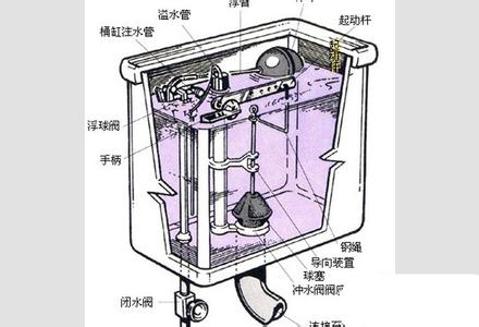 虹吸式马桶结构图 虹吸式马桶结构图 虹吸式马桶结构图解析