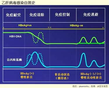 美人计是种传染病 医学美图联播 l 传染病（41图）