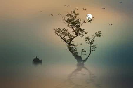 宽容是一种智慧 宽容做人是一种智慧