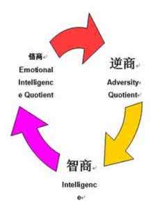 智商情商财商 转载 心商?智商?情商?财商?胆商?逆商?灵商?法商?搜商