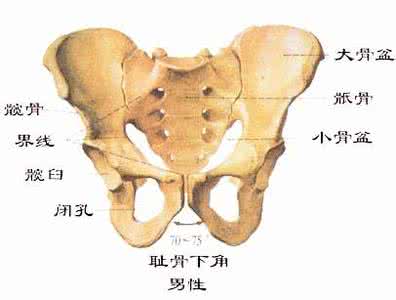 中医中药治疗肩周炎病 中医中药治疗老年性白内障