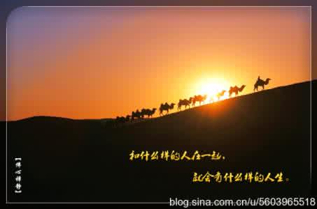 跟对人做对事经典语录 跟对人，走对路，做对事！