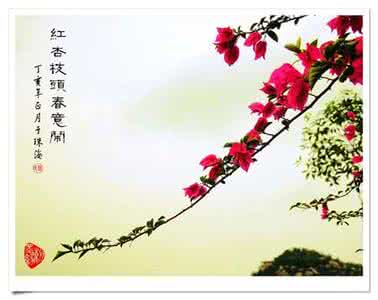 经典古诗词名句欣赏 经典古诗词欣赏系列(二):春花烂漫时