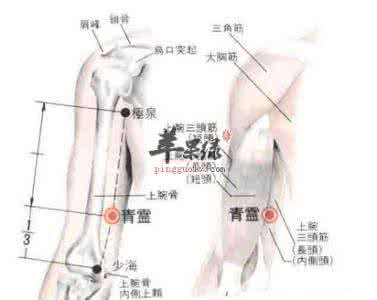 青幽灵作用 青灵穴,青灵穴位置图,青灵穴的作用