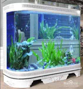 新手海水鱼缸开缸教程 新手如何给鱼缸换水
