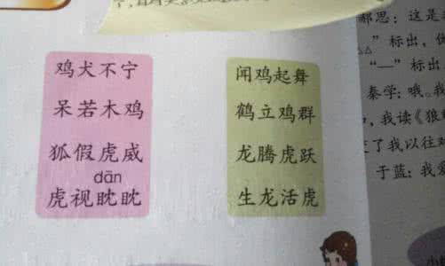 伺机的意思 伺机意思是什么？