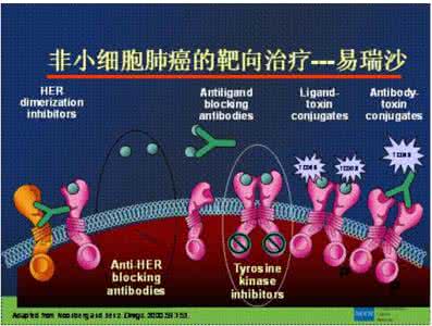 靶向药物免费赠药要求 靶向药物慈善赠药规则该更新了