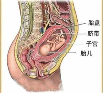 胎盘位置偏低怎么办 如何预防胎盘位置低
