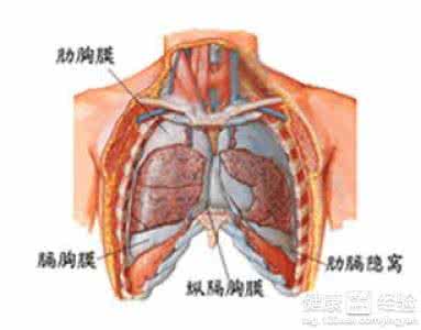 皮肤软组织感染症状 软组织感染 软组织感染有什么症状