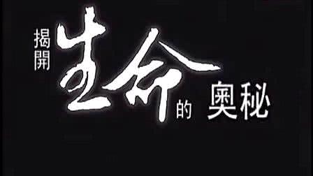 揭开生命的奥秘 揭开生命的奥秘 揭开书法奥秘 必字笔顺你写错了吗