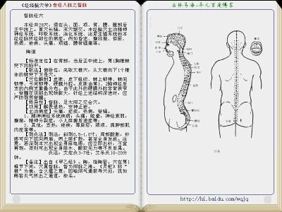 奇经八脉图解彩图 《经络腧穴学》奇经八脉之督脉图解