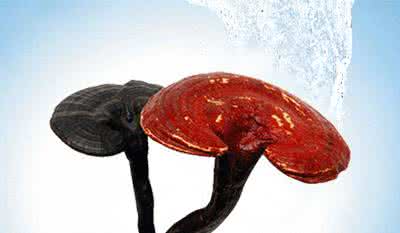 抗衰老作用 10大有抗衰老作用的中药