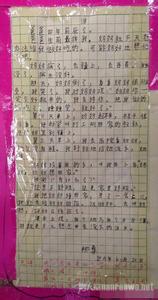 小学生作文修改范例 ★《小学生作文自学400例》★ 12.文章照应的5种方法