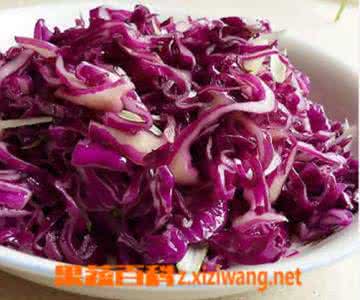 紫甘蓝的做法大全 紫甘蓝怎么做好吃 紫甘蓝的做法大全