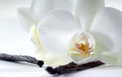 一日禅集锦经典 一日禅集锦（1158）