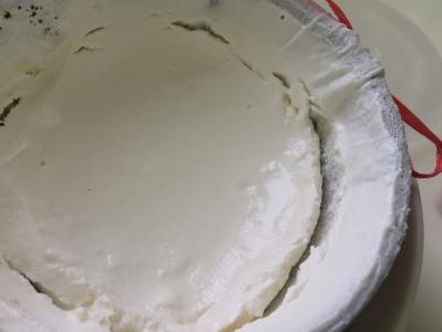 酸奶中添加乳清蛋白粉 添加乳清制作美味可口的酸奶—— 添加乳清制作酸奶的方法