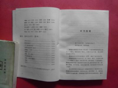 顾城文选 顾城文选全文阅读 作者:顾城