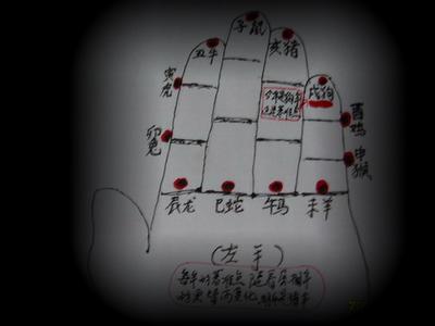 属相推算年龄 左右方向互为推算属相
