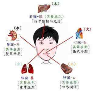 洗澡后上身起疙瘩 洗上身的疾病你知道几个