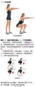 深蹲 深蹲简介