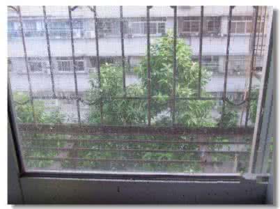 纱窗清洁妙招 快速清抽油烟机、洗玻璃窗、纱窗的妙招