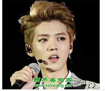 狼奔头发型 明星狼奔头发型