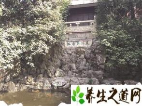 眼疾手快 娘娘以泉水治百姓眼疾 陆游取泉水沏茶留下雅名