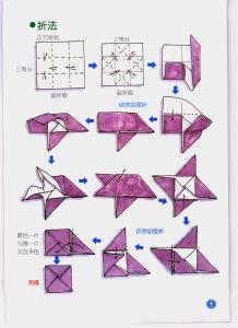 书信折纸 最全的书信折纸(图)