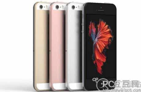 iphone5se有没有64g的 iphone5se有什么颜色